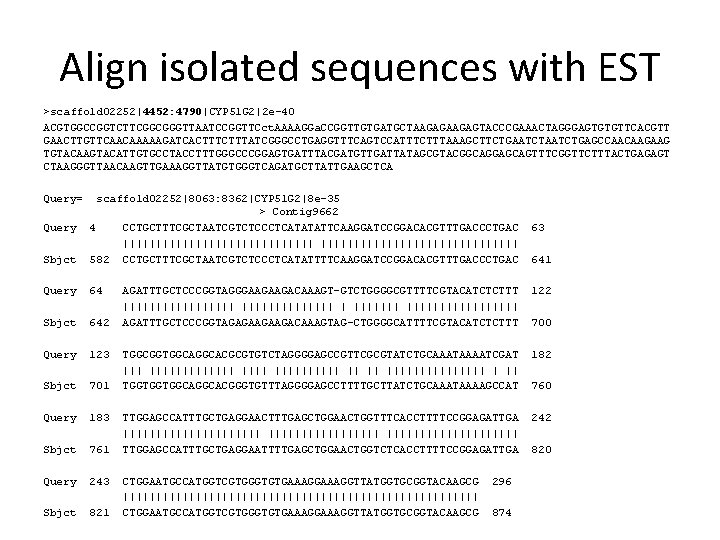Align isolated sequences with EST >scaffold 02252|4452: 4790|CYP 51 G 2|2 e-40 ACGTGGCCGGTCTTCGGCGGGTTAATCCGGTTCct. AAAAGGa.