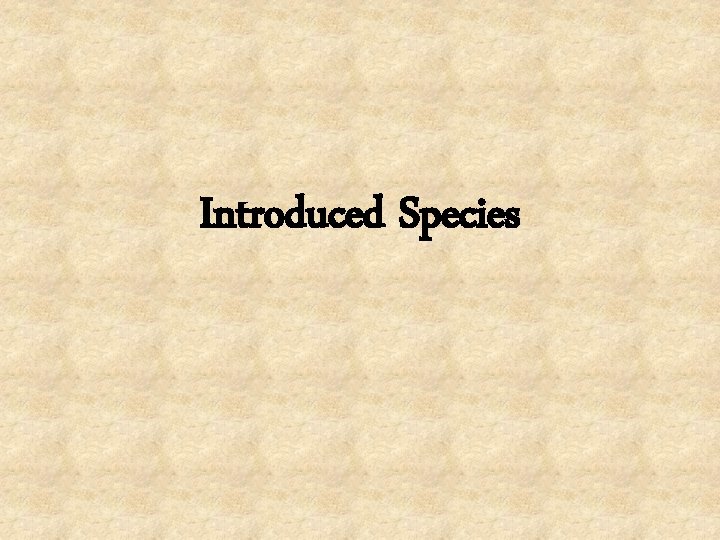 Introduced Species 