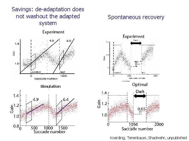 Savings: de-adaptation does not washout the adapted system Spontaneous recovery Simulation Koerding, Tenenbaum, Shadmehr,