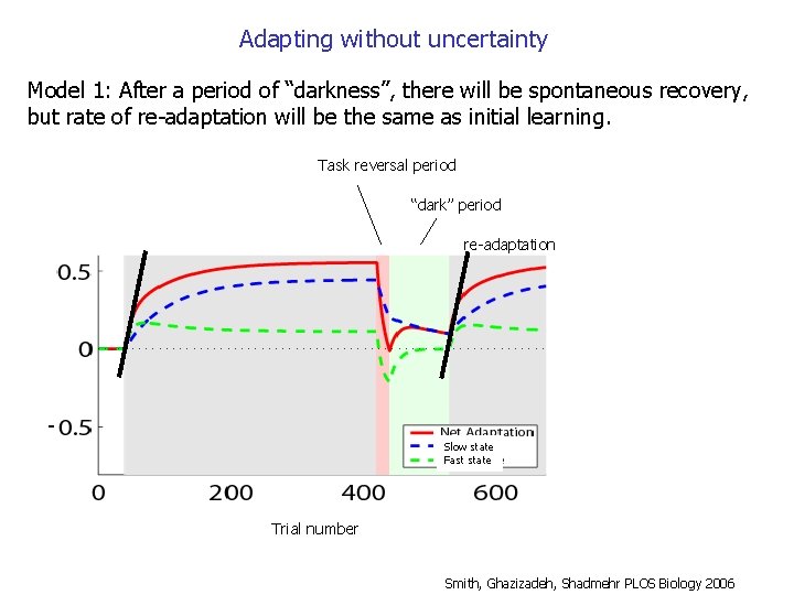 Adapting without uncertainty Model 1: After a period of “darkness”, there will be spontaneous