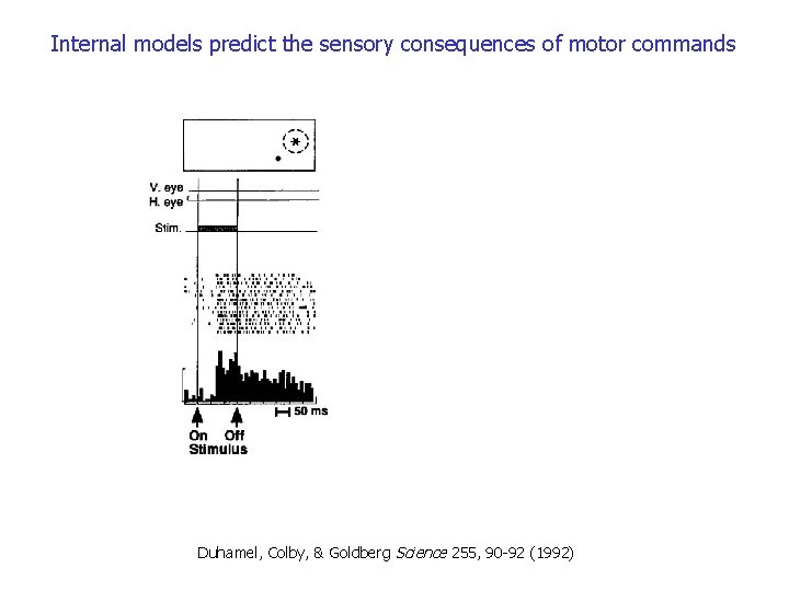 Internal models predict the sensory consequences of motor commands Duhamel, Colby, & Goldberg Science