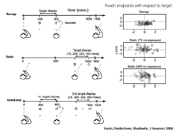 Reach endpoints with respect to target Time (msec) Vaziri, Diedrichsen, Shadmehr, J Neurosci 2006