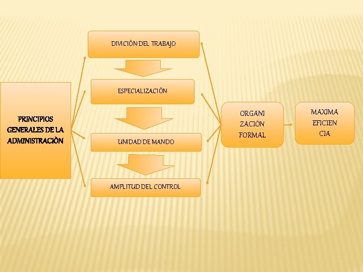 DIVICIÒN DEL TRABAJO ESPECIALIZACIÒN PRINCIPIOS GENERALES DE LA ADMINISTRACIÒN UNIDAD DE MANDO AMPLITUD DEL