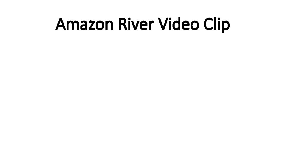 Amazon River Video Clip 
