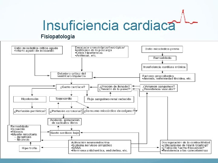 Insuficiencia cardiaca Fisiopatología Insuficiencia cardiaca Fisiopatología