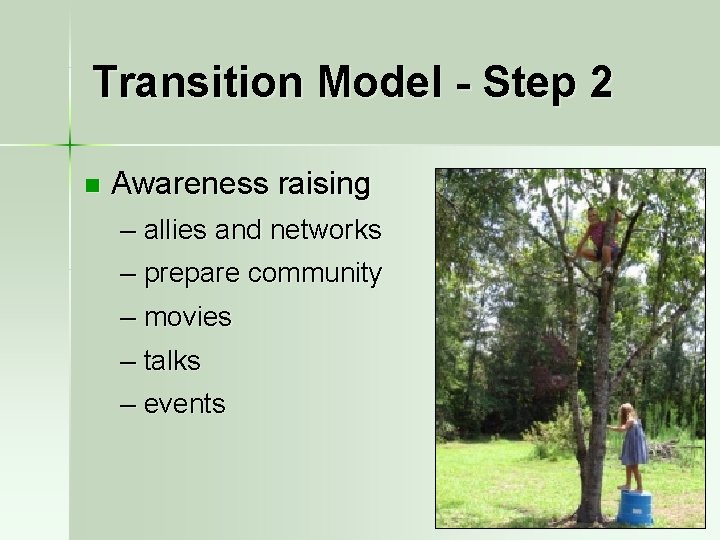 Transition Model - Step 2 n Awareness raising – allies and networks – prepare