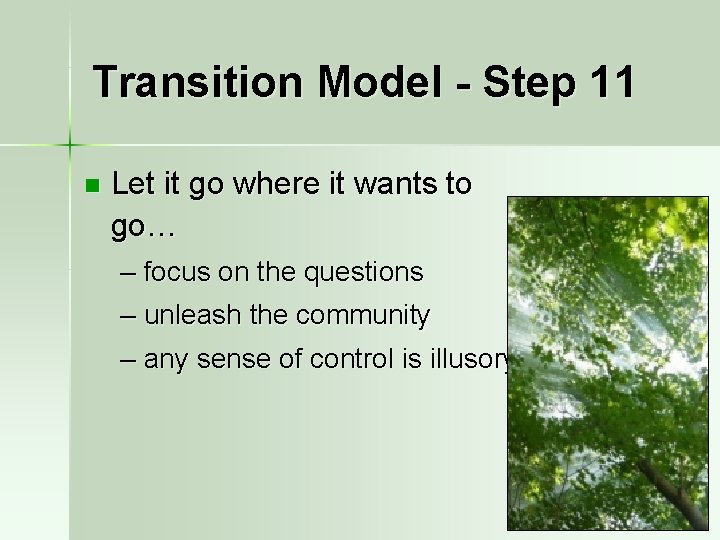 Transition Model - Step 11 n Let it go where it wants to go…