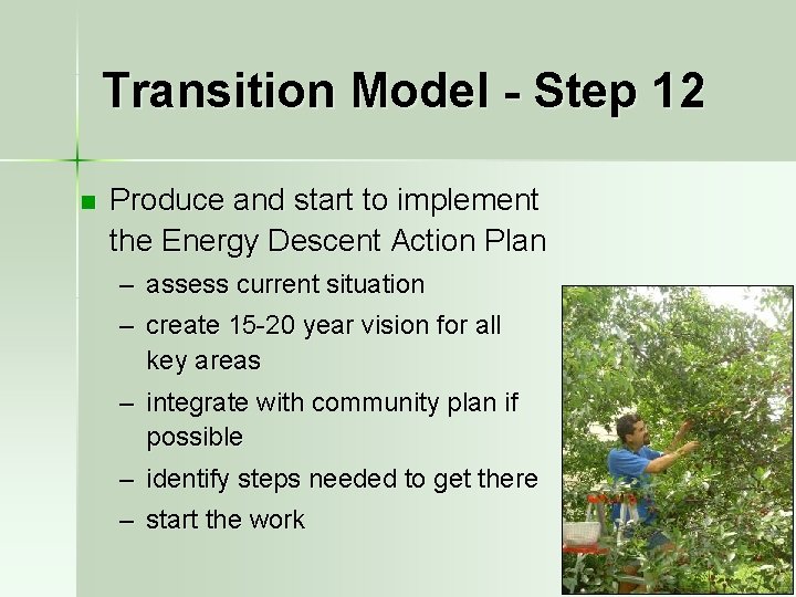 Transition Model - Step 12 n Produce and start to implement the Energy Descent