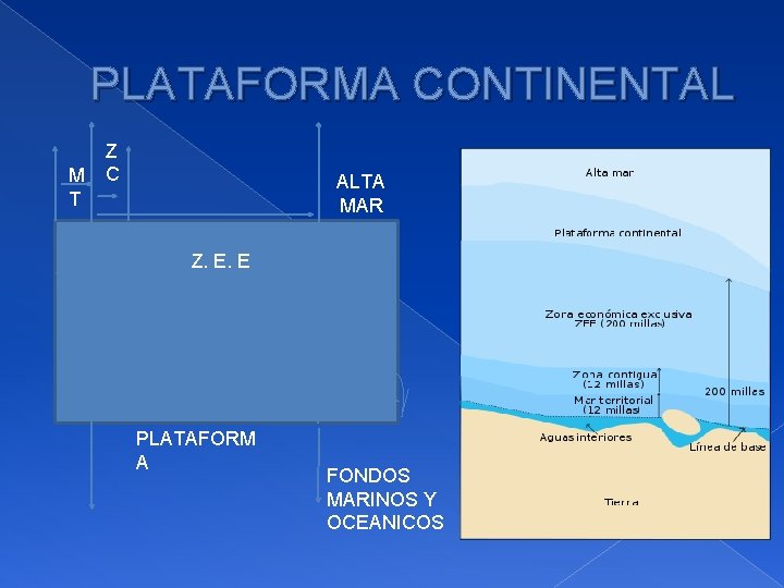 PLATAFORMA CONTINENTAL M T Z C ALTA MAR Z. E. E PLATAFORM A FONDOS