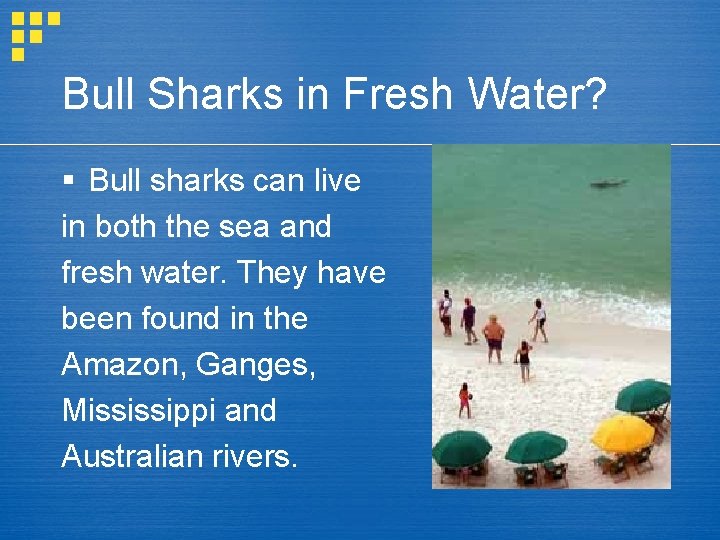 Bull Sharks in Fresh Water? § Bull sharks can live in both the sea
