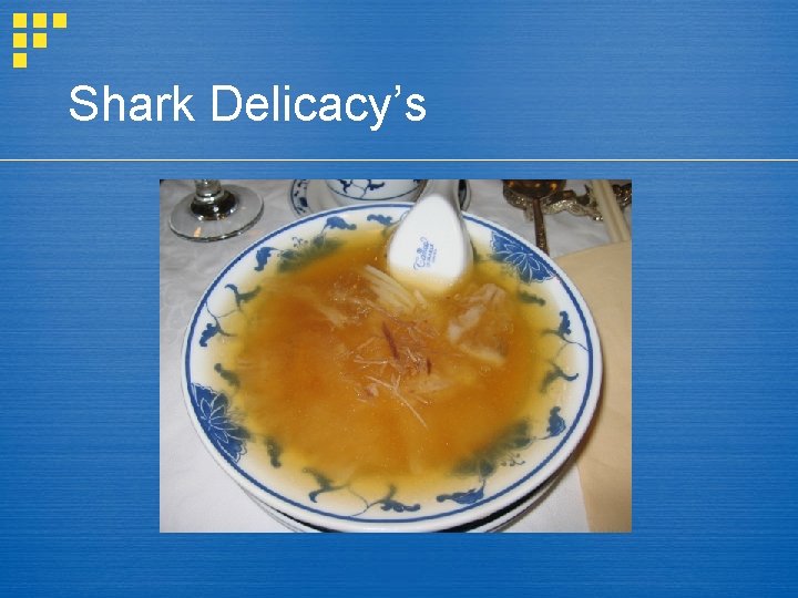 Shark Delicacy’s 