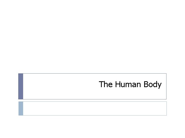 The Human Body 