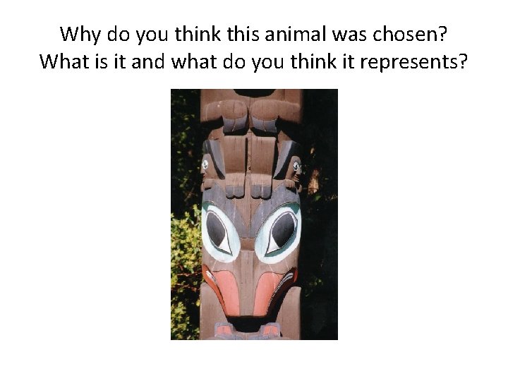 Why do you think this animal was chosen? What is it and what do