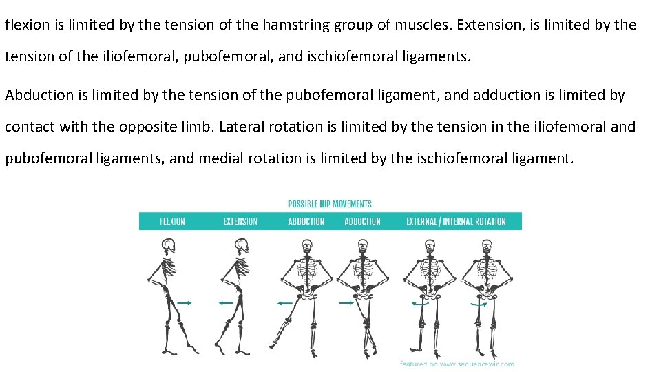 flexion is limited by the tension of the hamstring group of muscles. Extension, is