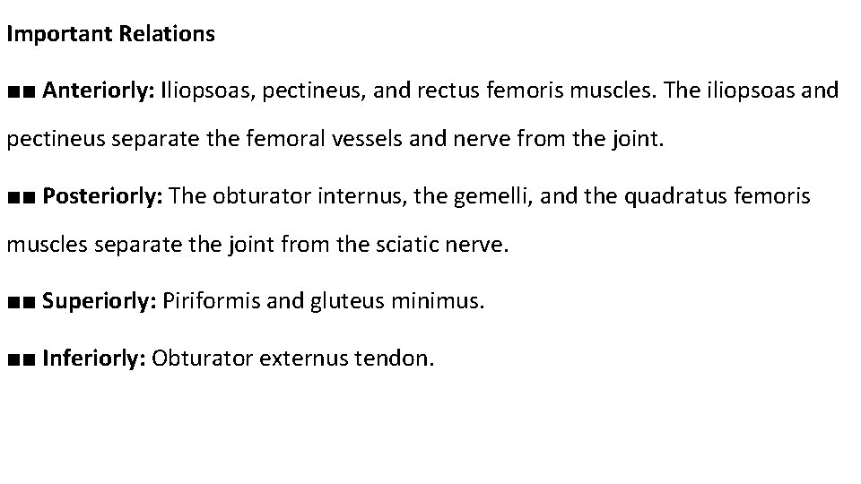 Important Relations ■■ Anteriorly: Iliopsoas, pectineus, and rectus femoris muscles. The iliopsoas and pectineus