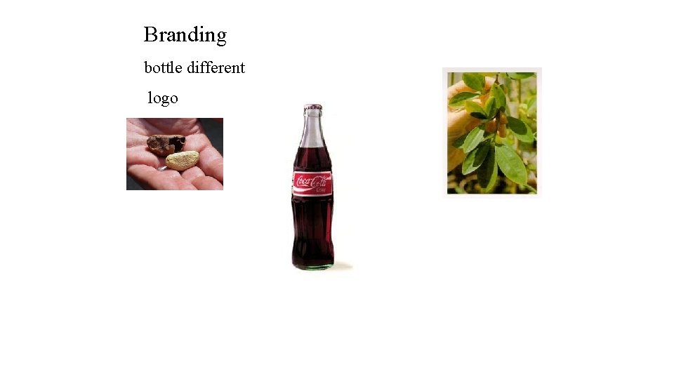 Branding bottle different logo 