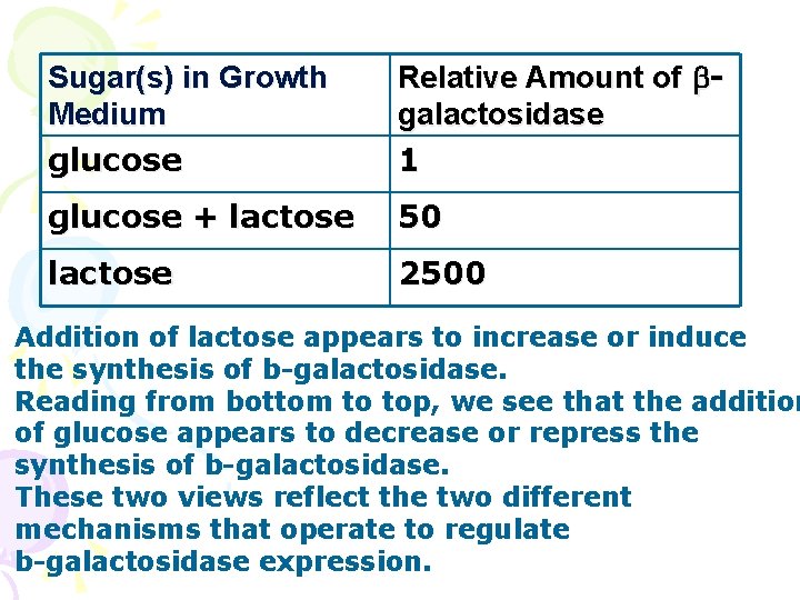 Sugar(s) in Growth Medium glucose Relative Amount of bgalactosidase 1 glucose + lactose 50