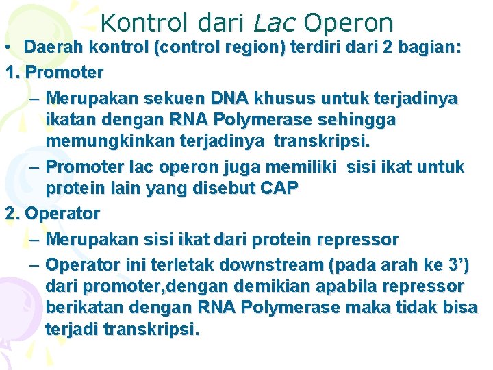 Kontrol dari Lac Operon • Daerah kontrol (control region) terdiri dari 2 bagian: 1.