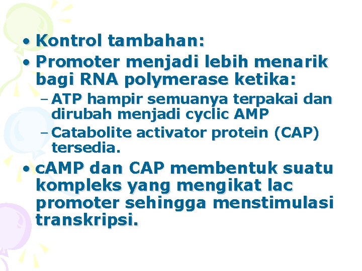  • Kontrol tambahan: • Promoter menjadi lebih menarik bagi RNA polymerase ketika: –