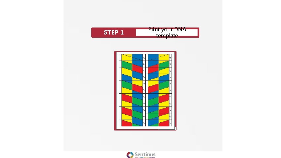 STEP 1 Print your DNA template 