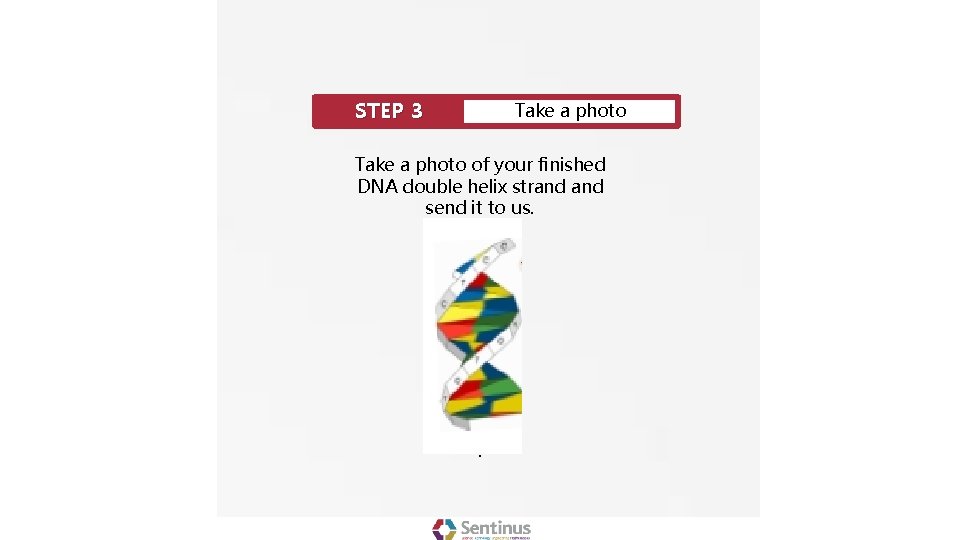 STEP 3 Take a photo of your finished DNA double helix strand send it