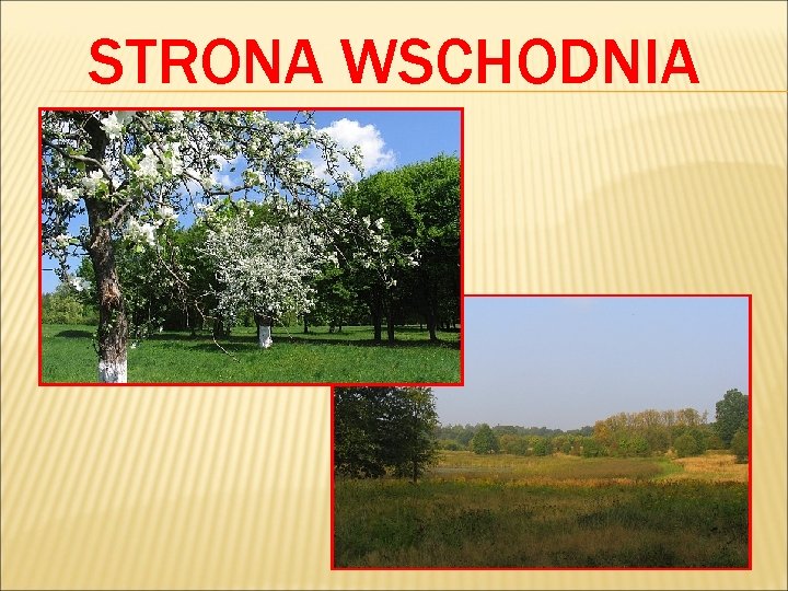 STRONA WSCHODNIA 