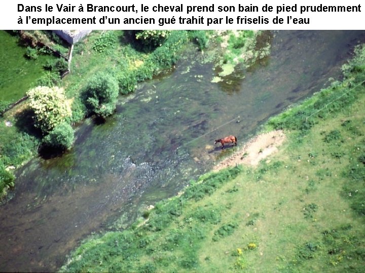 Dans le Vair à Brancourt, le cheval prend son bain de pied prudemment à