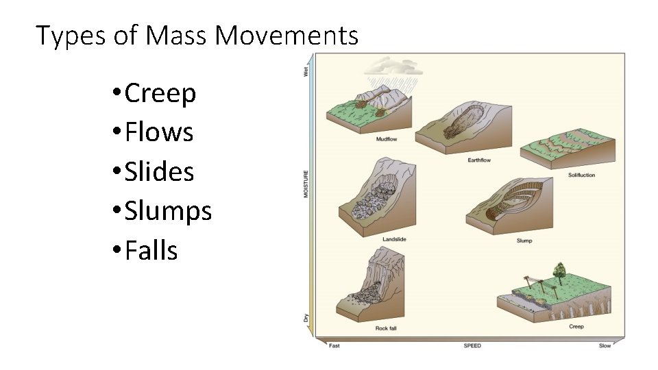 Types of Mass Movements • Creep • Flows • Slides • Slumps • Falls