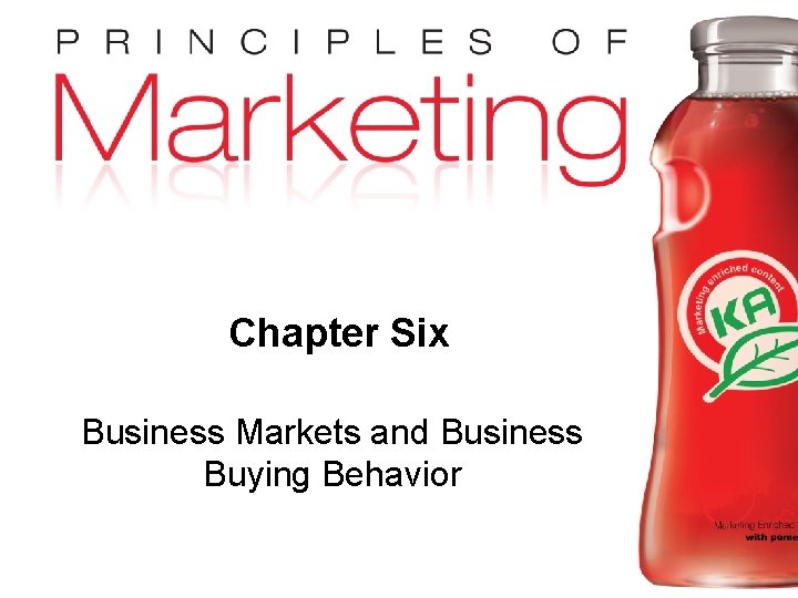 Chapter Six Business Markets and Business Buying Behavior Copyright © 2009 Pearson Education, Inc.