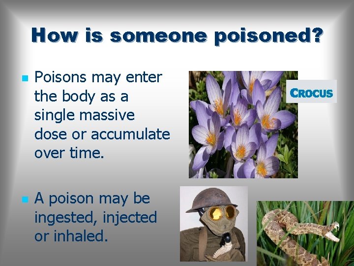 How is someone poisoned? n n Poisons may enter the body as a single