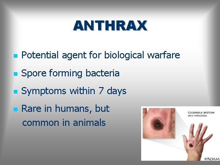 ANTHRAX n Potential agent for biological warfare n Spore forming bacteria n Symptoms within