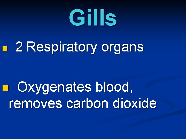 Gills 2 Respiratory organs n Oxygenates blood, removes carbon dioxide n 