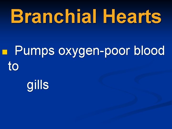 Branchial Hearts n Pumps oxygen-poor blood to gills 