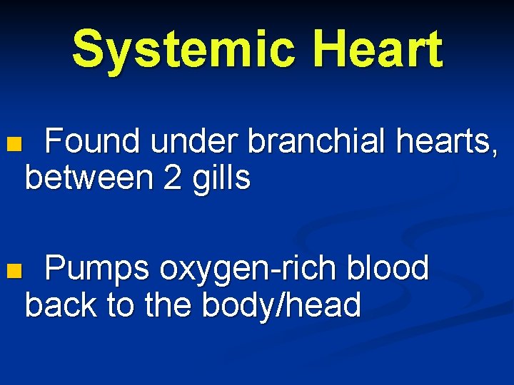 Systemic Heart n Found under branchial hearts, between 2 gills n Pumps oxygen-rich blood