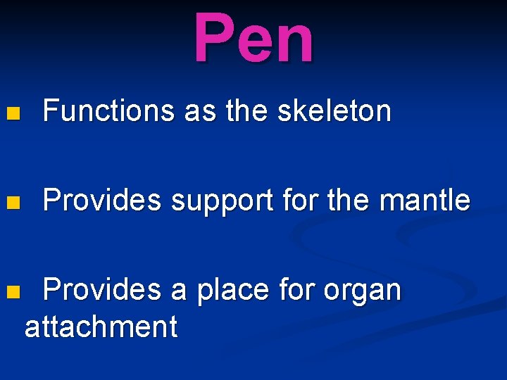 Pen n Functions as the skeleton n Provides support for the mantle n Provides