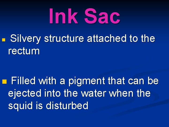 Ink Sac n n Silvery structure attached to the rectum Filled with a pigment