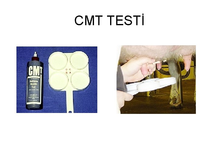 CMT TESTİ 