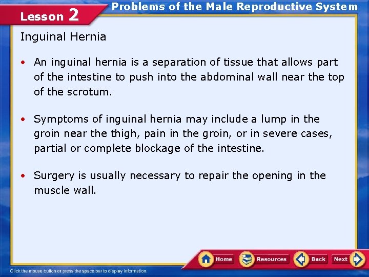 Lesson 2 The Male Reproductive System An essential
