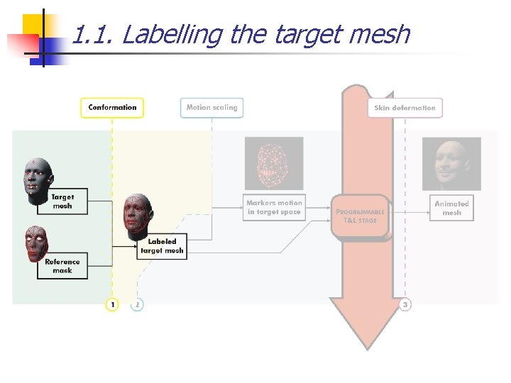1. 1. Labelling the target mesh 