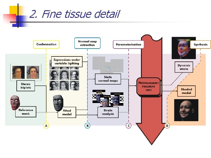 2. Fine tissue detail 