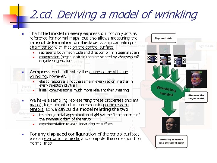2. cd. Deriving a model of wrinkling n The fitted model in every expression