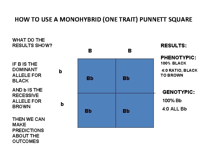 HOW TO USE A MONOHYBRID (ONE TRAIT) PUNNETT SQUARE WHAT DO THE RESULTS SHOW?