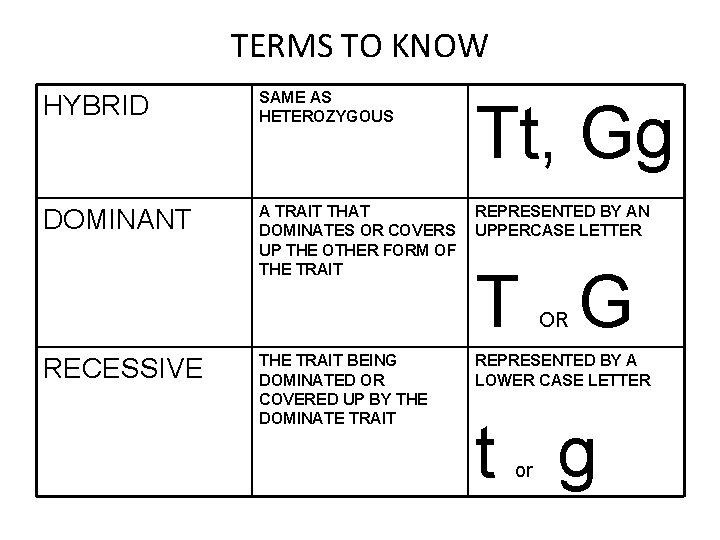 TERMS TO KNOW HYBRID SAME AS HETEROZYGOUS Tt, Gg DOMINANT A TRAIT THAT DOMINATES