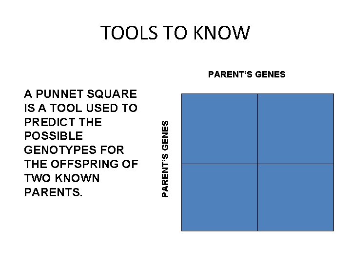 TOOLS TO KNOW A PUNNET SQUARE IS A TOOL USED TO PREDICT THE POSSIBLE