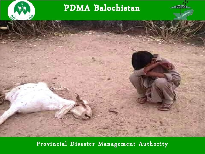 PDMA Balochistan Provincial Disaster Management Authority 