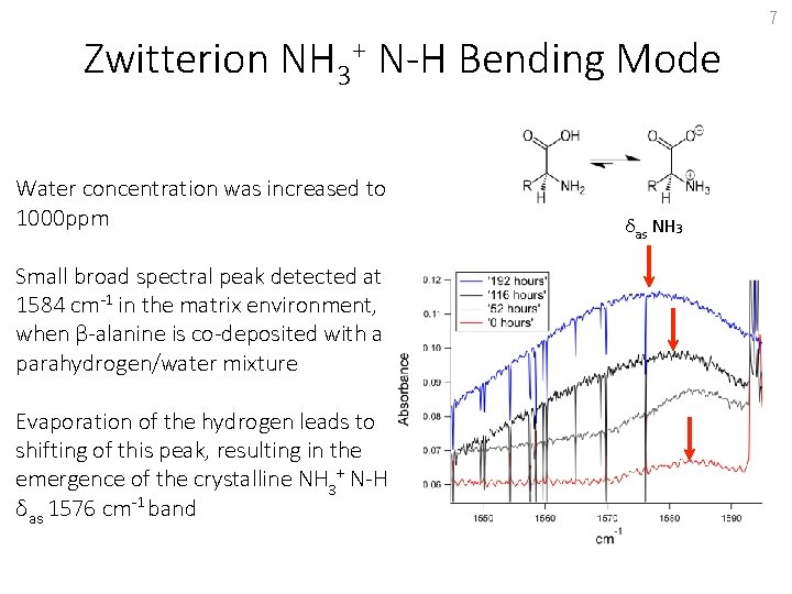 7 Zwitterion NH 3+ N-H Bending Mode Water concentration was increased to 1000 ppm