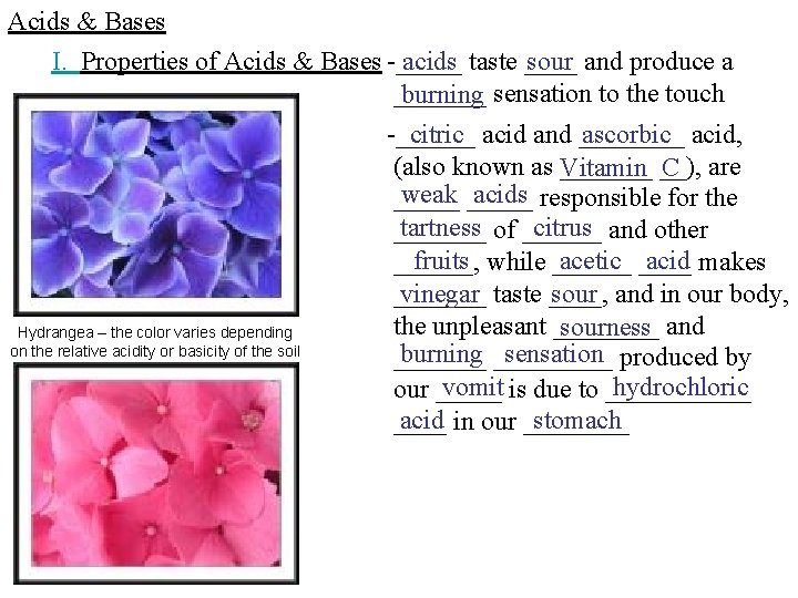 Acids & Bases I. Properties of Acids & Bases -_____ acids taste ____ sour