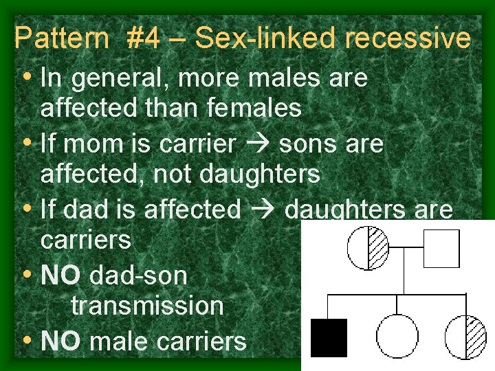 Pattern #4 – Sex-linked recessive • In general, more males are affected than females