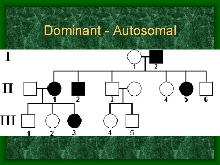 Dominant - Autosomal 