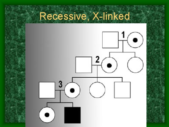 Recessive, X-linked 